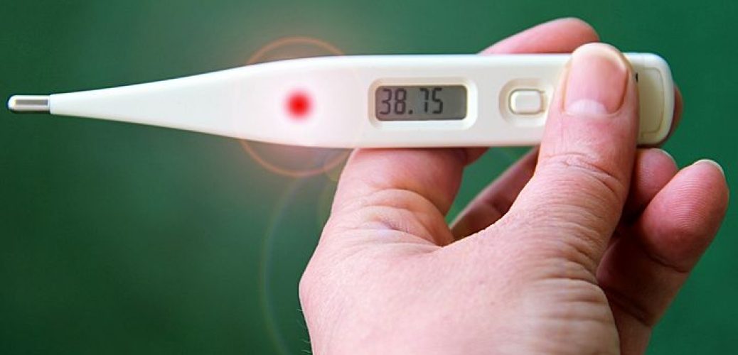 20200106_藥到病除：帶菌跳蚤叮咬 可播致命鼠疫