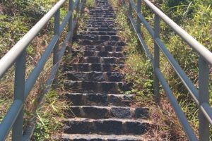 WhatsApp Image 2018-05-26 at 3