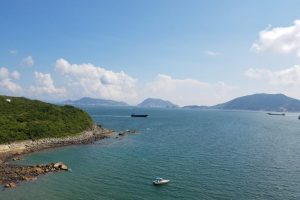 WhatsApp Image 2018-05-27 at 4