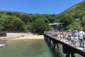 WhatsApp Image 2018-05-27 at 5