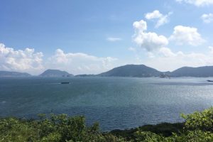 WhatsApp Image 2018-05-27 at 5